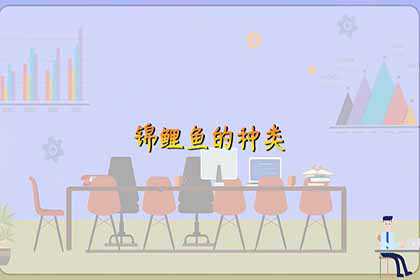 锦鲤鱼风水作用