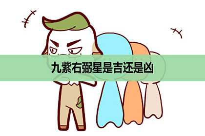 九紫右弼星是吉还是凶，是什么意思？