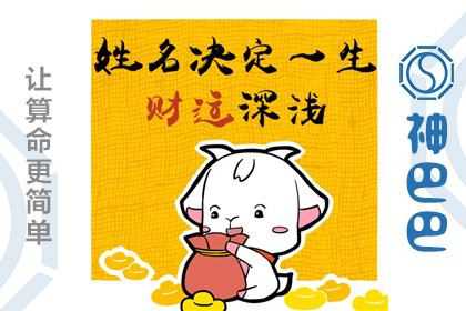 名字测试你这辈子靠什么赚钱？