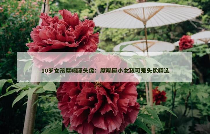 10岁女孩摩羯座头像：摩羯座小女孩可爱头像精选