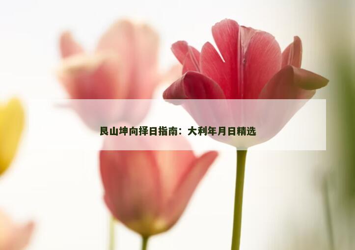 艮山坤向择日指南：大利年月日精选