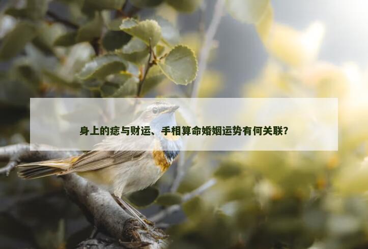 身上的痣与财运、手相算命婚姻运势有何关联？