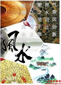 办公室风水植物摆放的小诀窍！