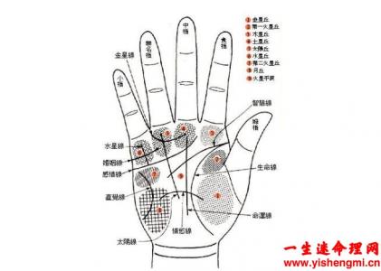 生命线是哪一条图解？左手还是右手？